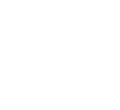 ICF - International Professional Coach